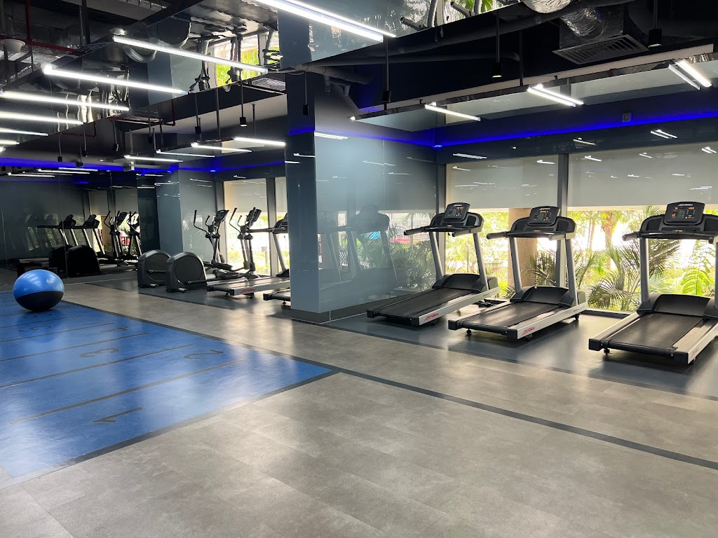 STEEL GYM - ĐẢO KIM CƯƠNG
